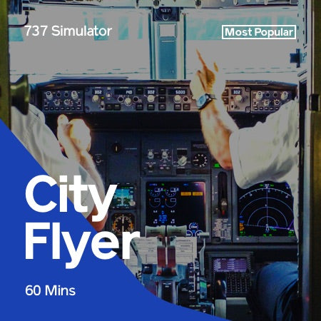 Boeing 737 Flight Simulator Melbourne CBD - 60 Minute City Flyer